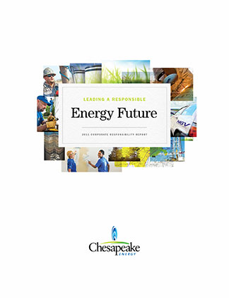 2011 Sustainability Report